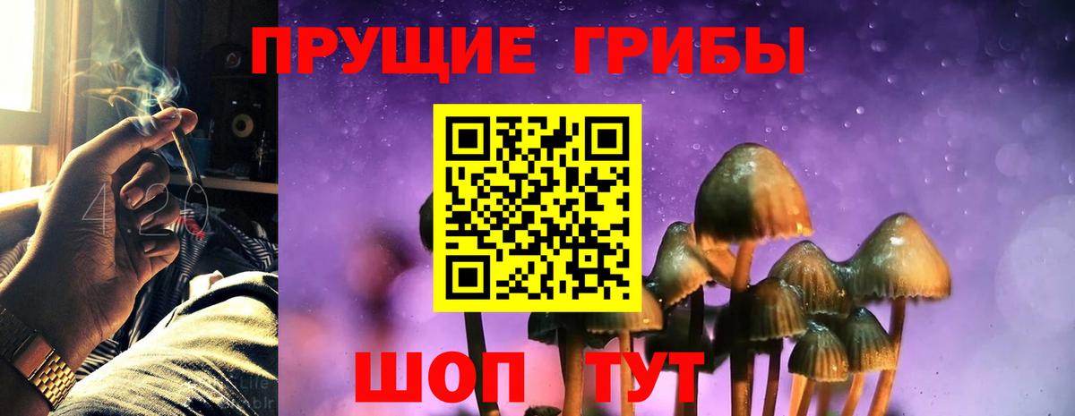 Галлюциногенные грибы Psilocybe Бахчисарай