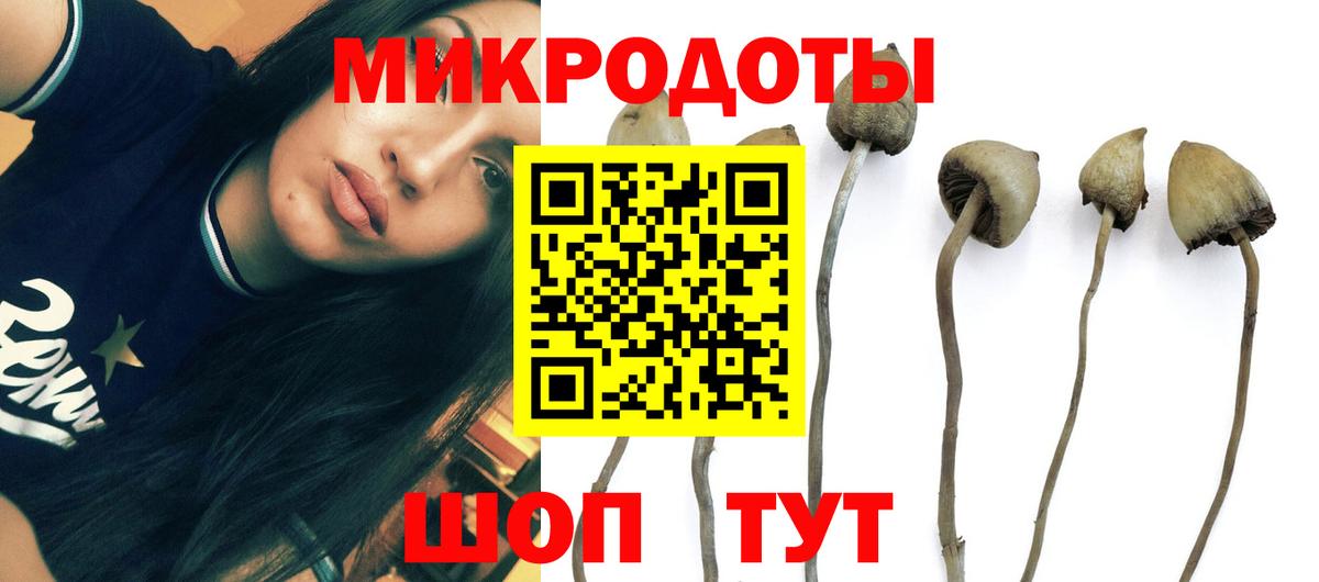 Псилоцибиновые грибы Cubensis  Вход с VPN  Бахчисарай 